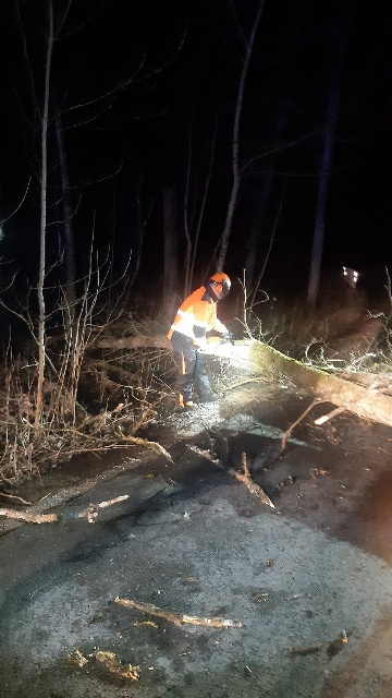 20230311_044818_resized groß.jpg